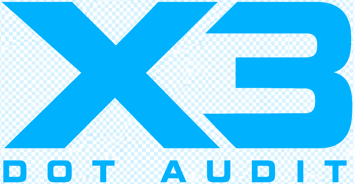 X3 DOT Audit
