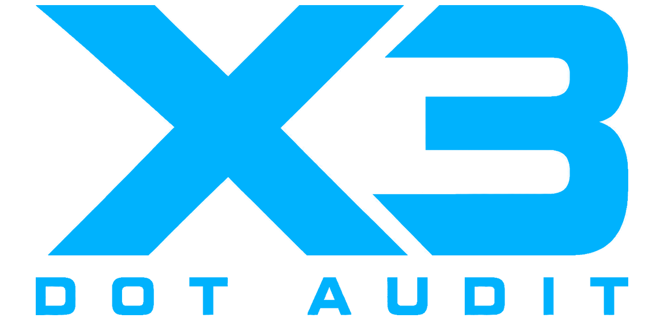 X3 DOT Audit